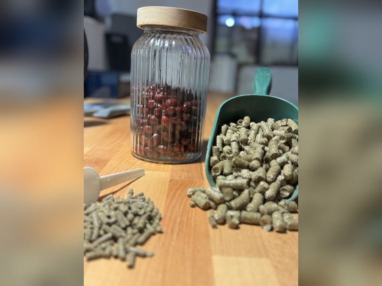 Rehabilitation place directly on the North Sea