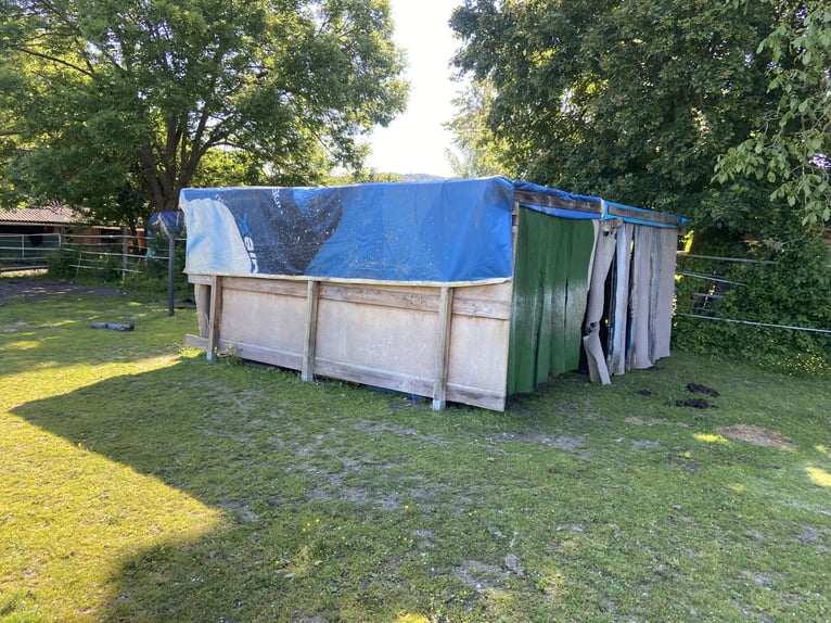 Selbstversorgeroffenstall für Kleinpferde und Ponys