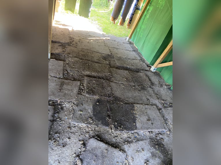 Selbstversorgeroffenstall für Kleinpferde und Ponys
