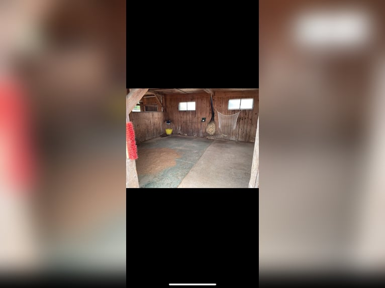 Separate paddock stall available for 2-3 horses in 91074 Burgstall (Herzogenaurach).