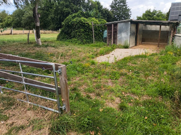 Small self-sufficient equestrian facility available for rent, suitable for a maximum of two ponies o