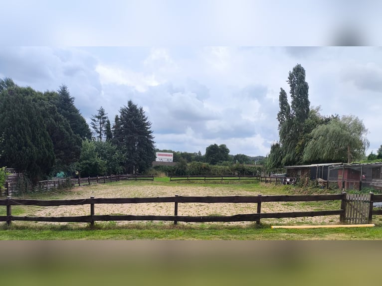 Small self-sufficient equestrian facility available for rent, suitable for a maximum of two ponies o