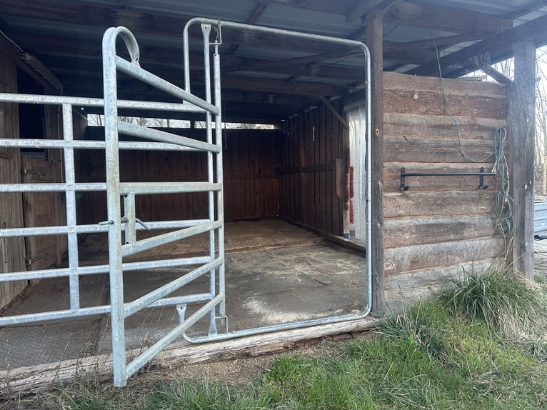 Stable block and open stables for rent