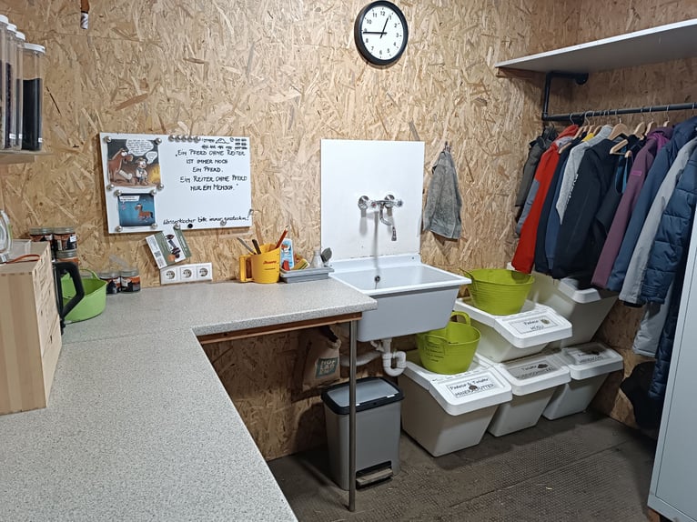 Stabling for leisure riders