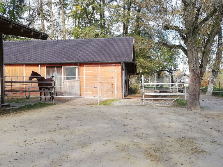 Stabling for leisure riders
