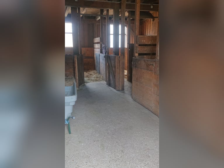 Stabling spaces available