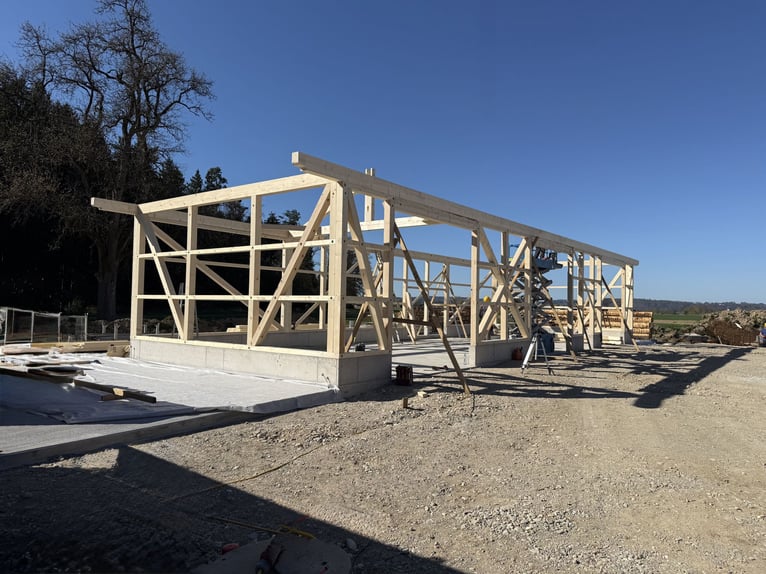 Stall spaces available from summer 2026 in a new facility for Icelandic horses