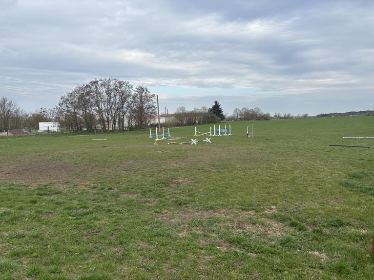 Stalls available – Boarding horses welcome!