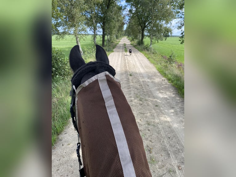 Two stable places available