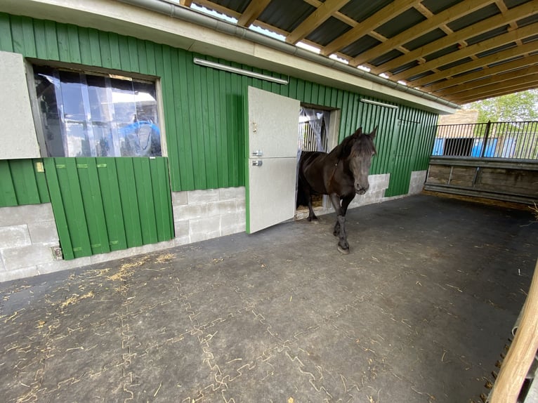 Two stable places available
