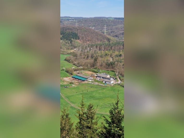 Wenige Plätze frei 