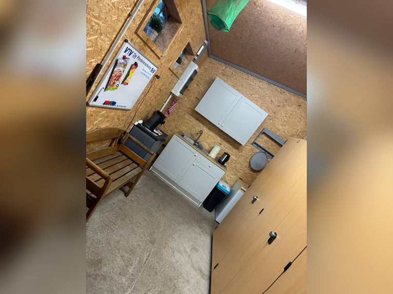 2 Paddockboxen für Stuten frei 