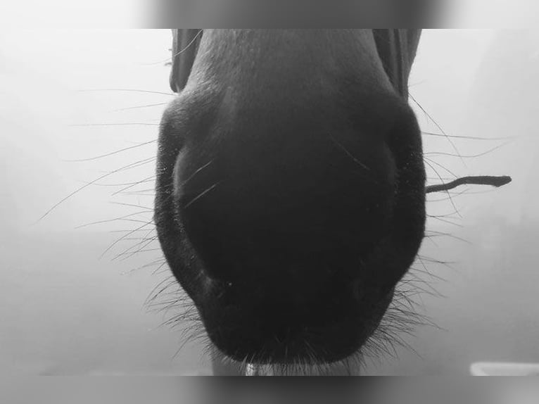 Atme tief durch! Unser Lungenerholungs- & Aufbaumonat