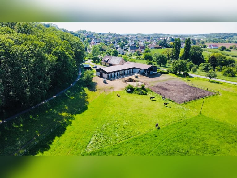 Betreutes wohnen für Ihr Pferd 