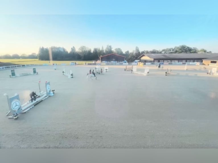 Currently, a paddock box with full board is available at our beautiful riding facility!