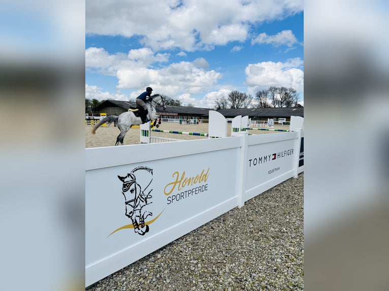 Currently, a paddock box with full board is available at our beautiful riding facility!