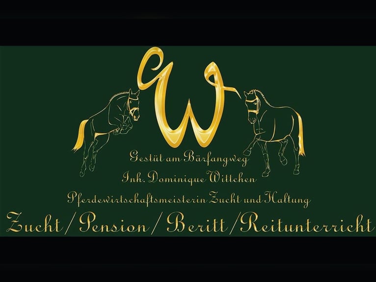 Exklusive Reitanlage, 1h südlich von Berlin, Pensionsstall & Reitstall, Aufzucht