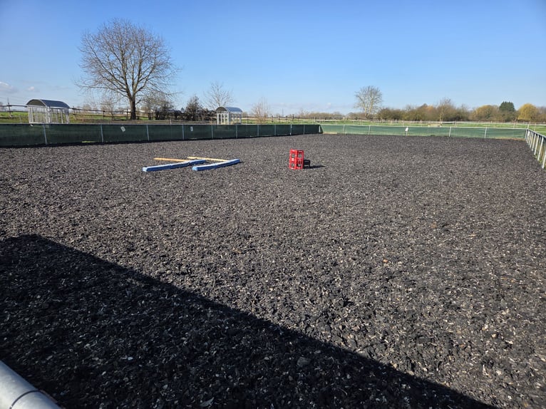 🐴 Large paddock box for rent – in a small club 🐴
