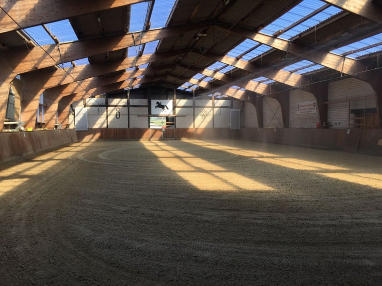 Large paddock stalls