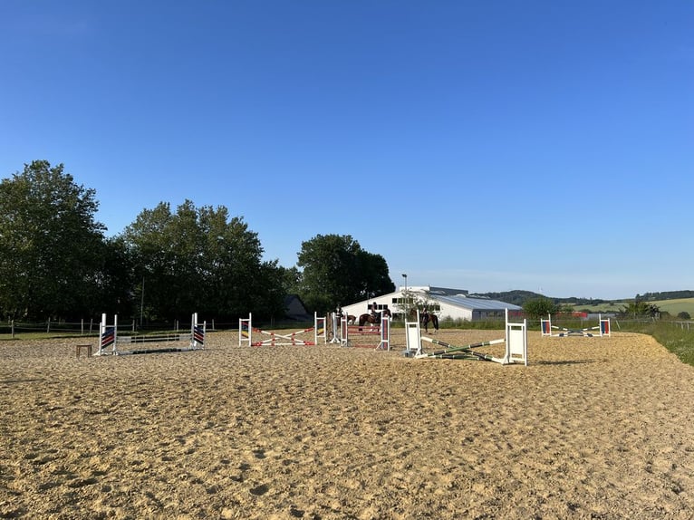 Large paddock stalls