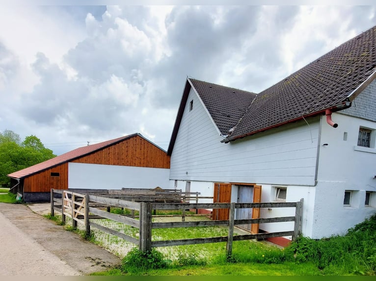 One paddock stable with outdoor pasture for 1-2 horses