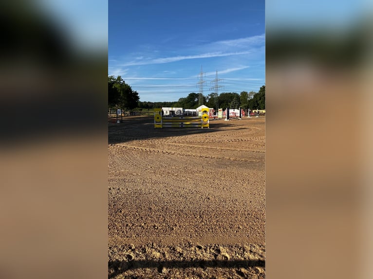 Paddock box available with full board
