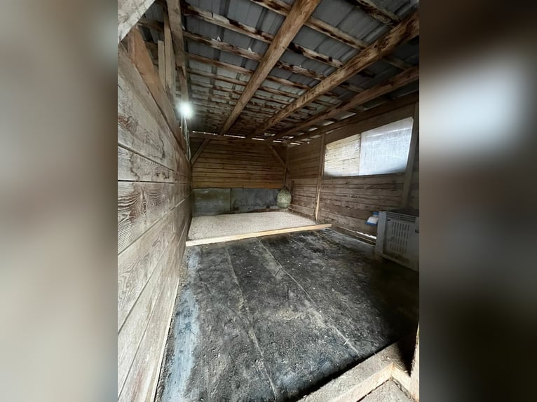 Paddock Box / Open Stall