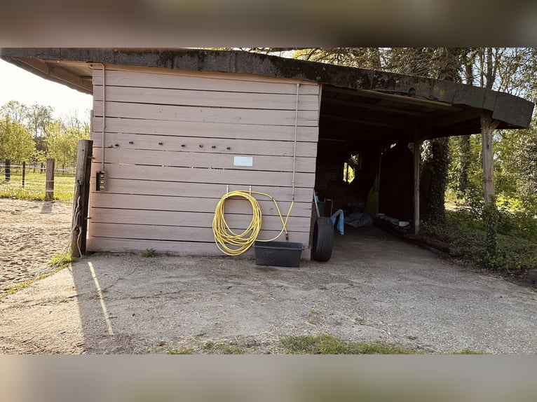 Paddock box with partial board
