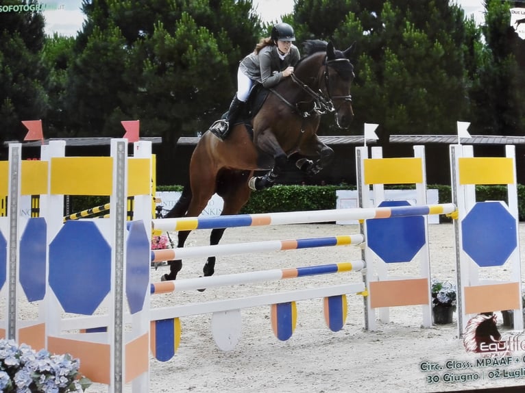 Paddock boxes available at a private equestrian facility