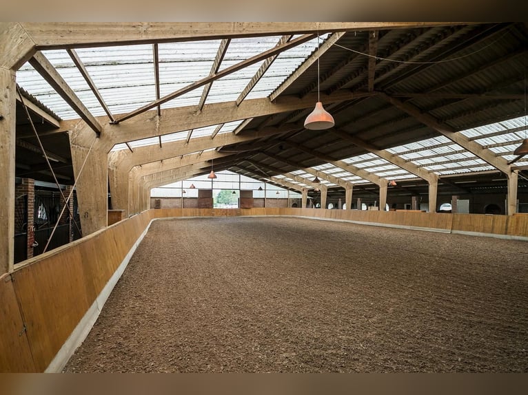 Paddock boxes available at a private equestrian facility