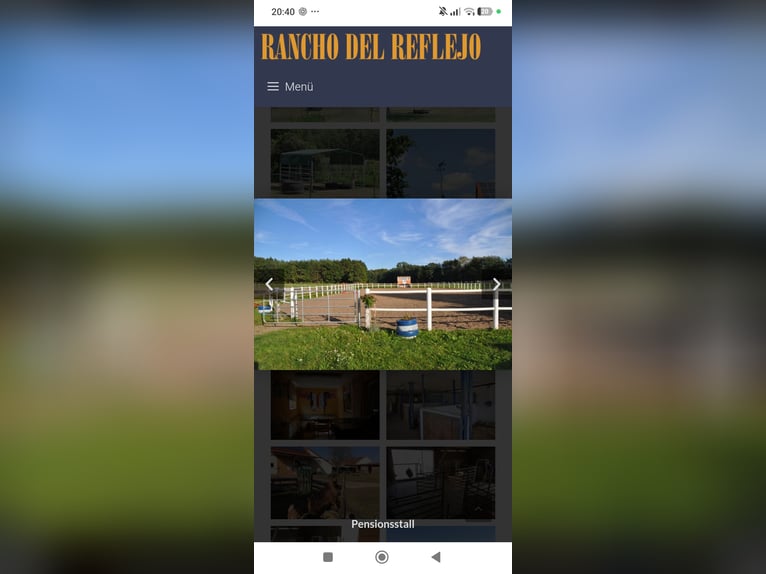 Paddock boxes available