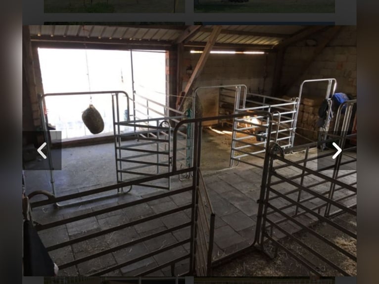 Paddock boxes available