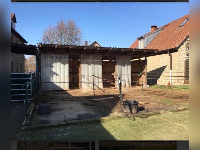 Paddock boxes available