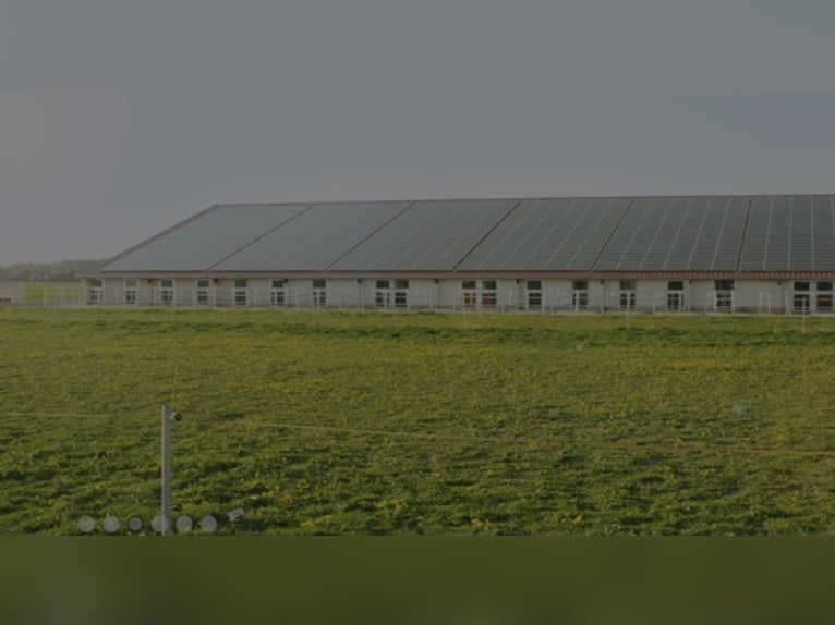 Paddock boxes for rent