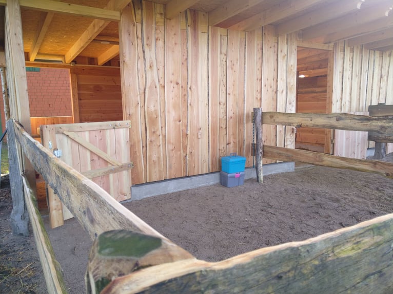Paddockbox in priv. Stall, 