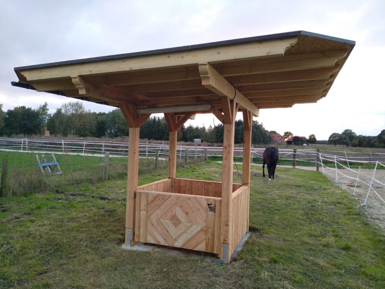 Paddockbox in priv. Stall, 