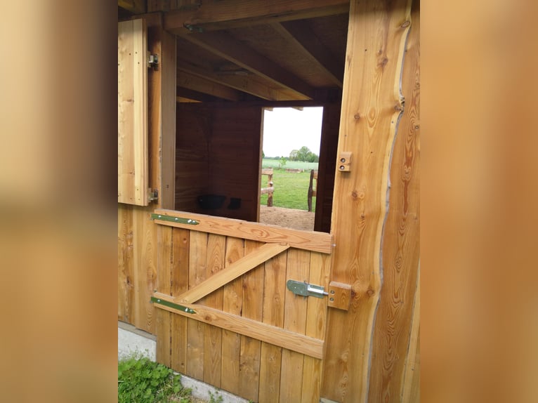 Paddockbox in priv. Stall, 