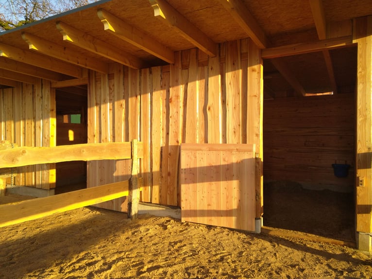 Paddockbox in priv. Stall, 