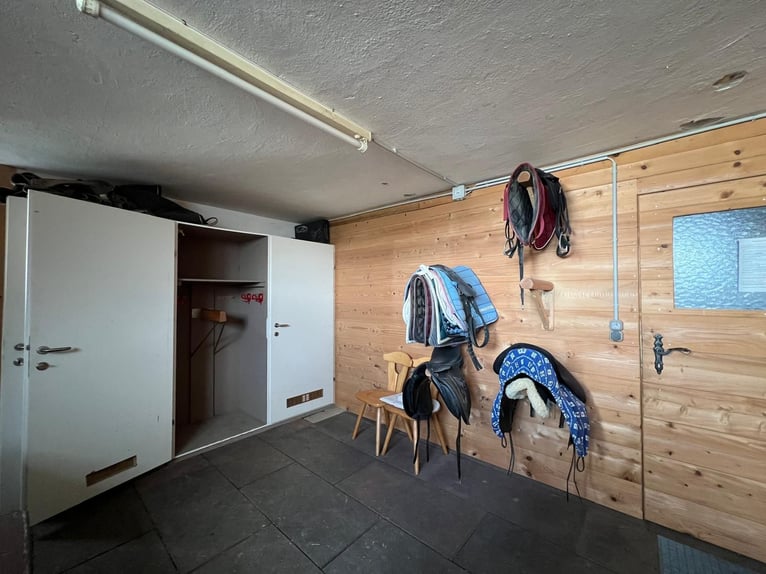 Paddockbox in wunderschöner Lage