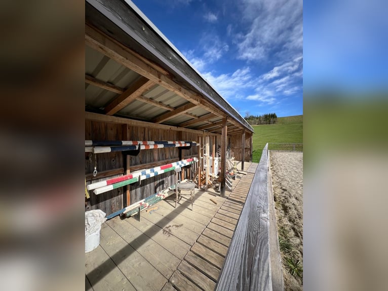 Paddockbox in wunderschöner Lage