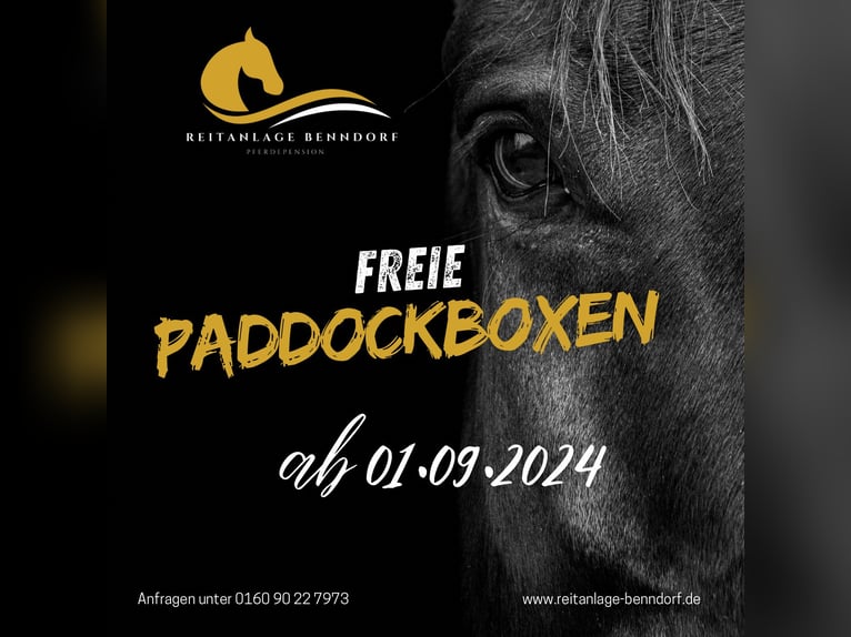 Paddockboxen frei! 