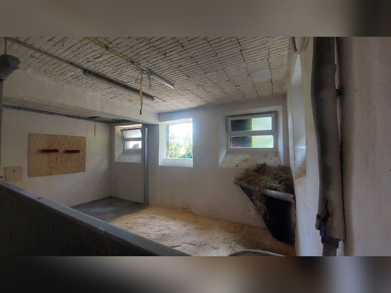 Private stable has 3 available boxes suitable for horses or ponies, all-day paddock turnout, ideal f
