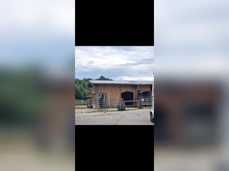 Small stable community