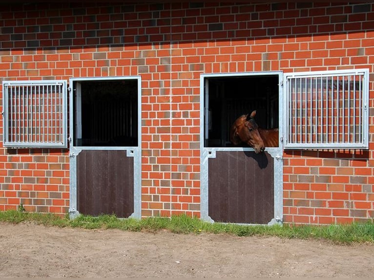 Stable door with safety glass | Horse stable door | Box door