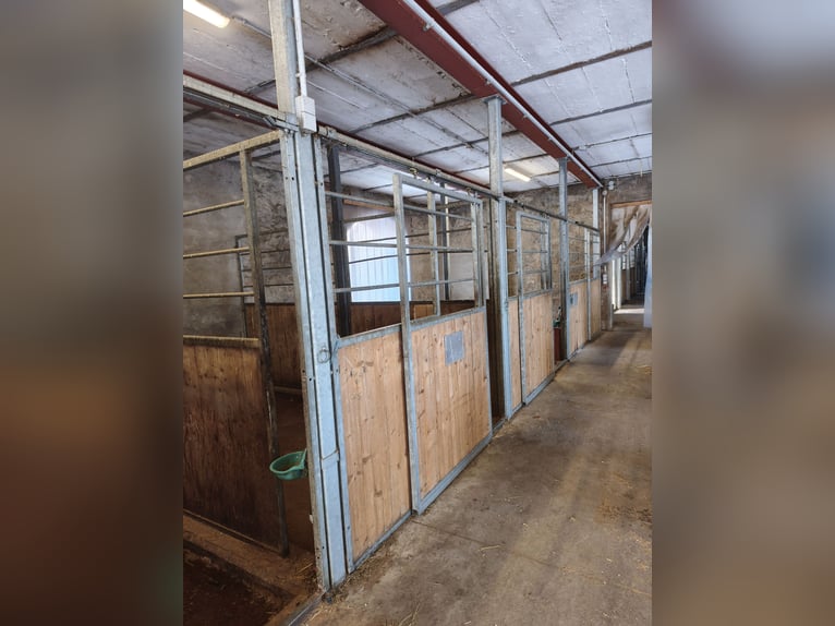 Stall block available for rent