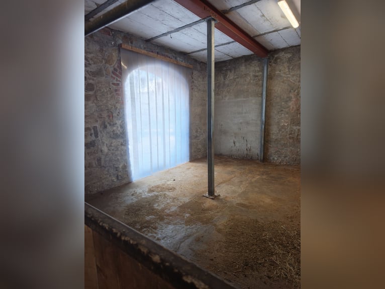 Stall block available for rent