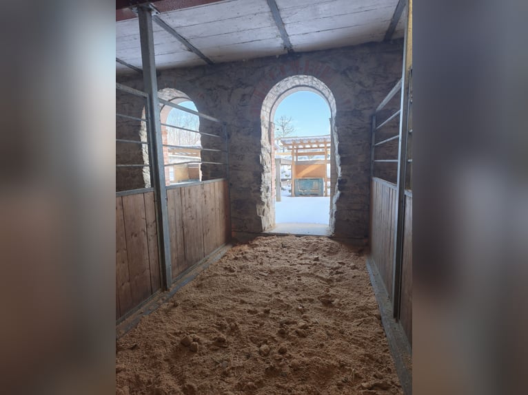 Stall block available for rent