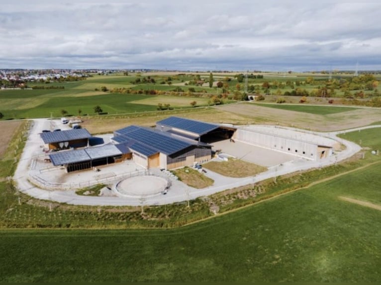 Stalls available – A new home for your horse!