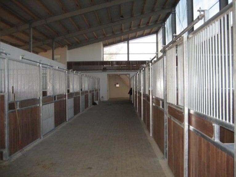 Stalls or stable block for horses