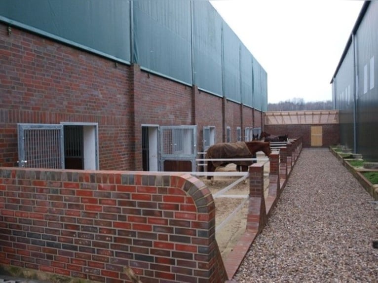 Stalls or stable block for horses